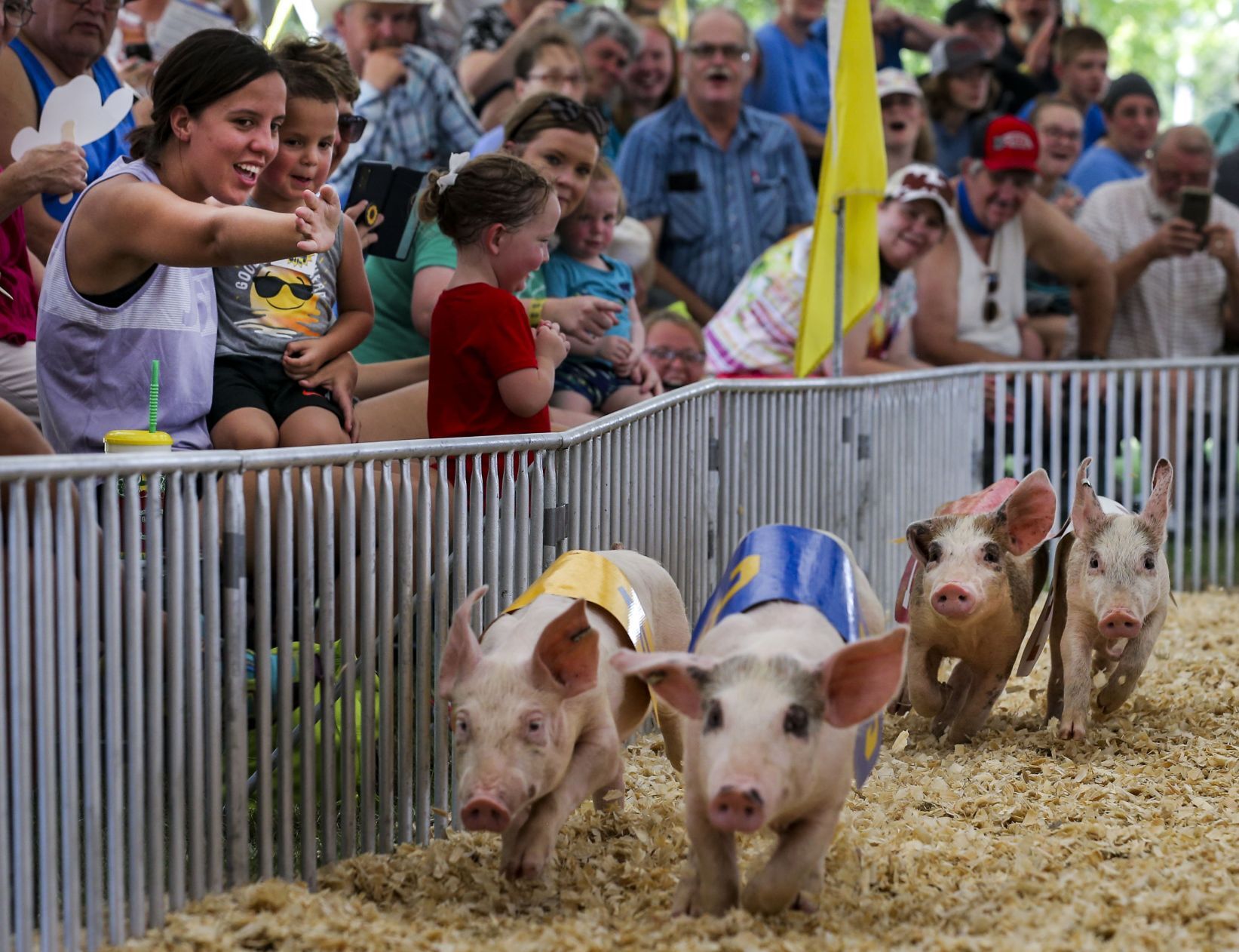 State Fair back in swing
